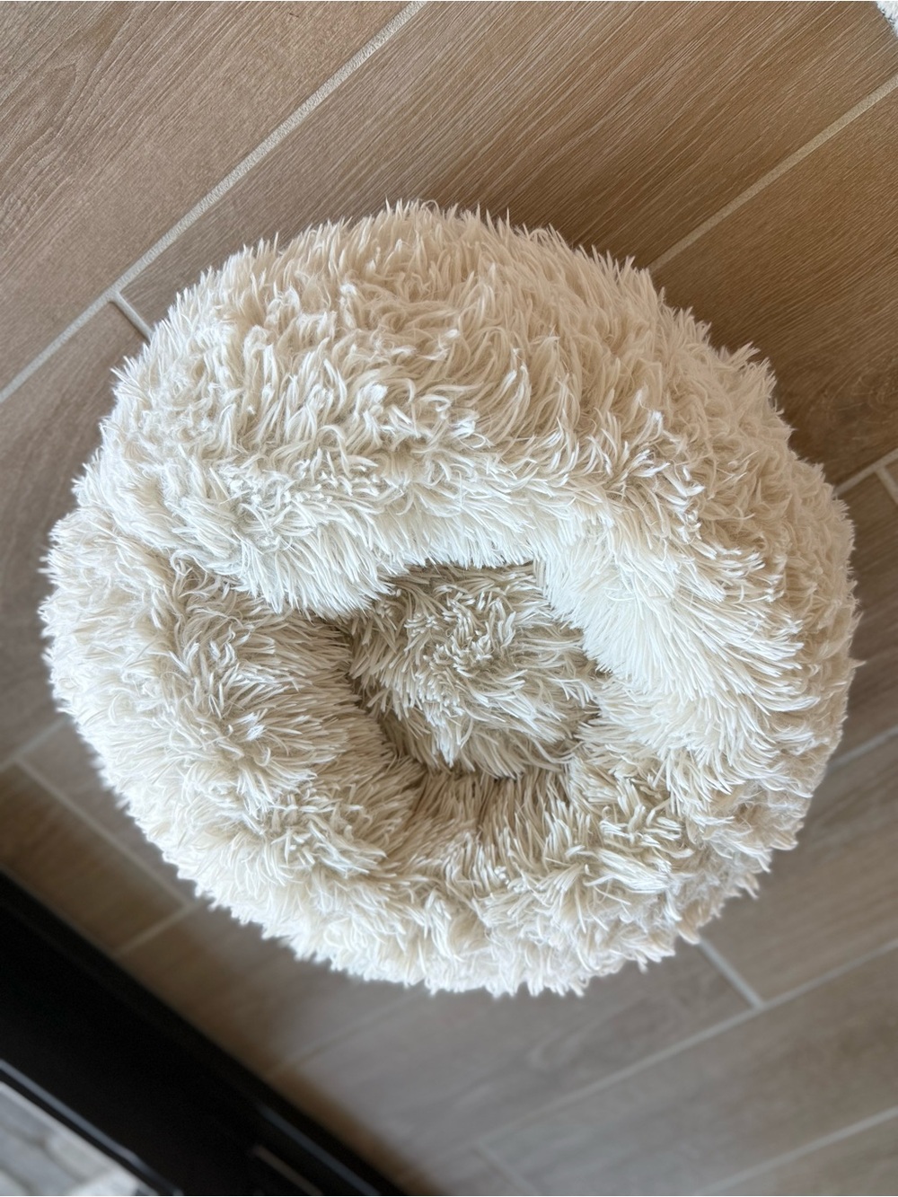 BOOTS & BARKLEY donut bolster dog bed